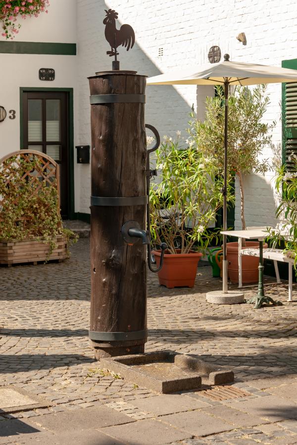 Alte Pumpe im Baumstamm auf der Alten Schulstraße