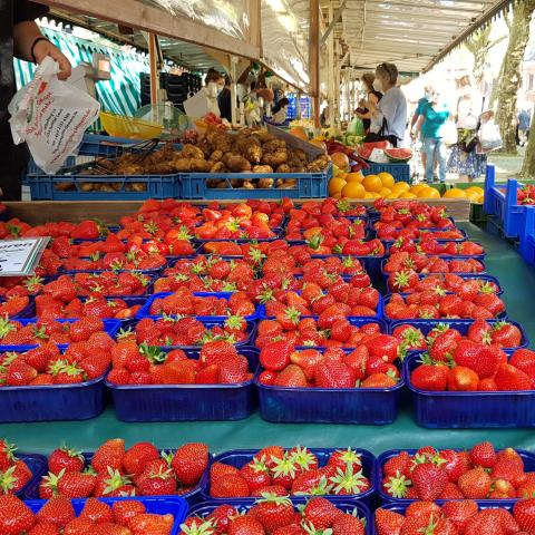 Erdbeeren auf Wochenmarkt